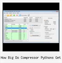 Encodeuricomponent To Remove Spaces how big do compressor pythons get