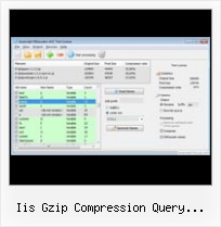 Unpack Java Script iis gzip compression query parameters